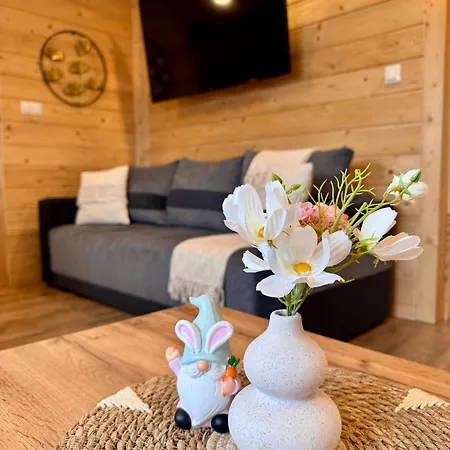Apartament Jaworowe Izby